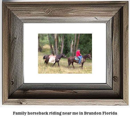 family horseback riding near me in Brandon, Florida